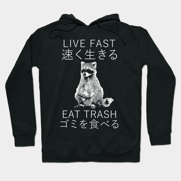 LIVE FAST RACCOON JAPANESE Hoodie by giovanniiiii